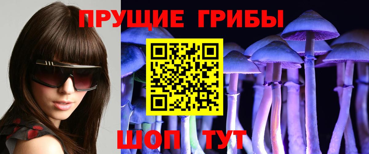 Краснодар  Галлюциногенные грибы Psilocybine cubensis  Вход с VPN  Псилоцибиновые грибы Cubensis 